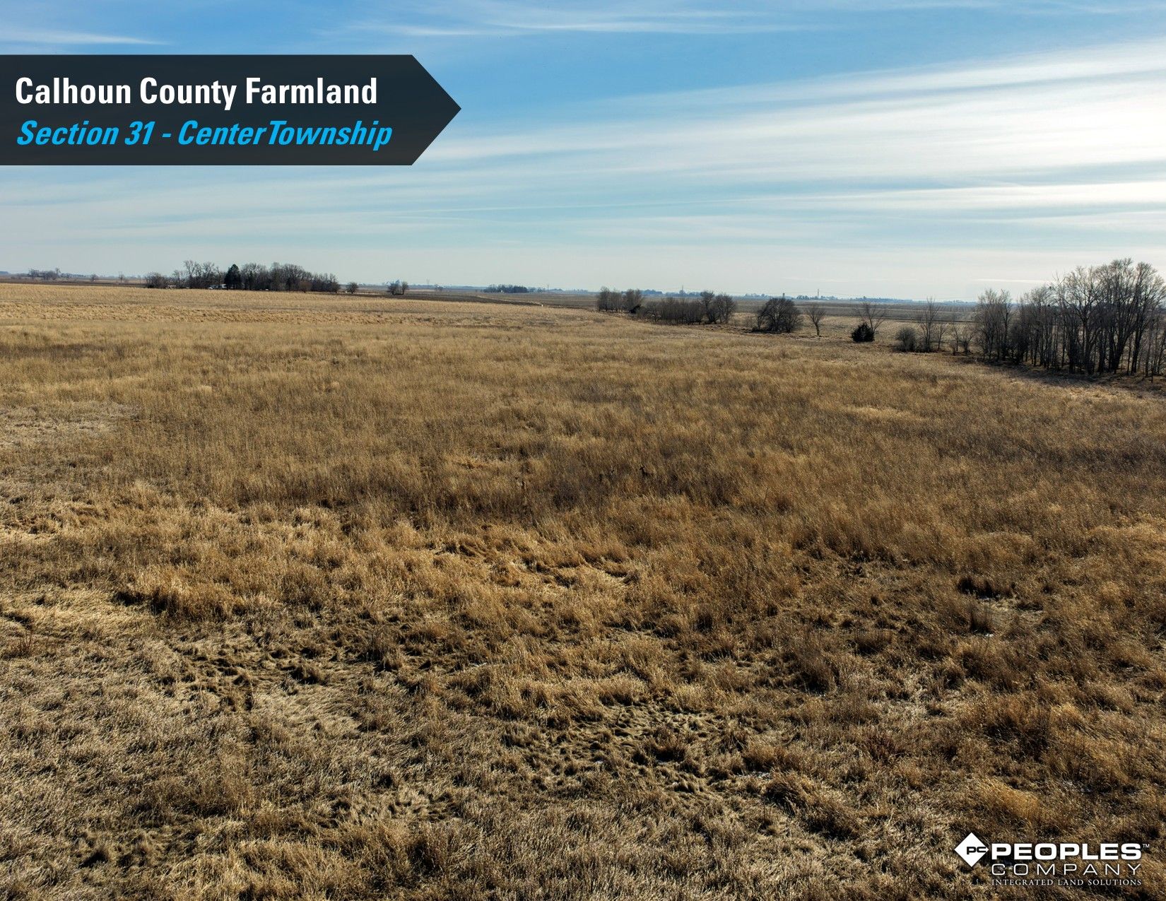Listing Photo: Calhoun-County-Iowa-Farmland-Available-78.40-Acres-18822-Rockwell-City-IA (16)